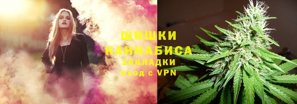 гашик Аркадак