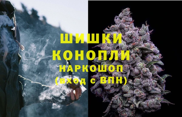 эйфоретик Балахна